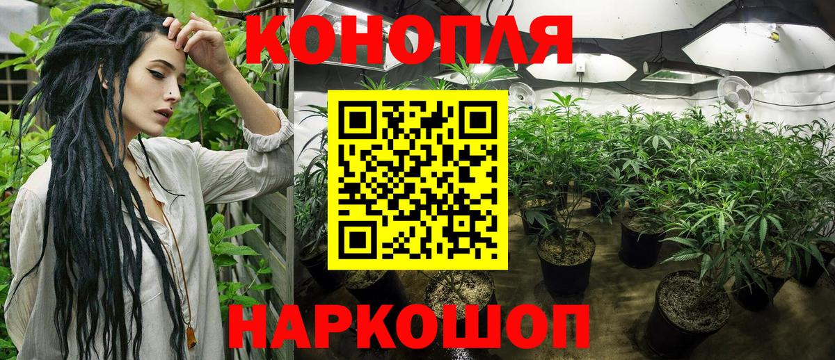 Бошки Шишки ГИДРОПОН Ангарск